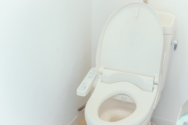トイレの水漏れの原因と症状