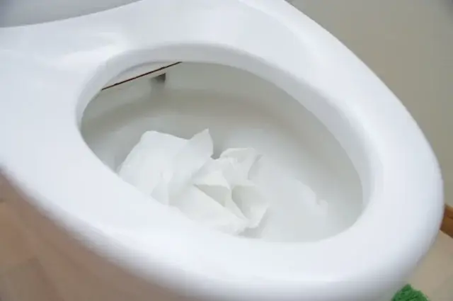 トイレの紙詰まりが起こる原因は？