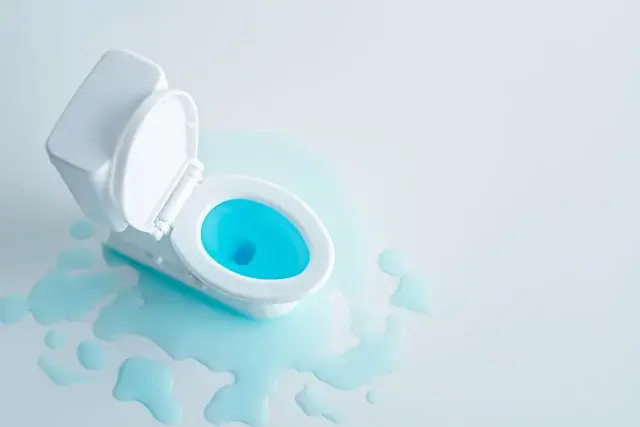 なぜトイレはあふれるのか？主な原因と見分け方